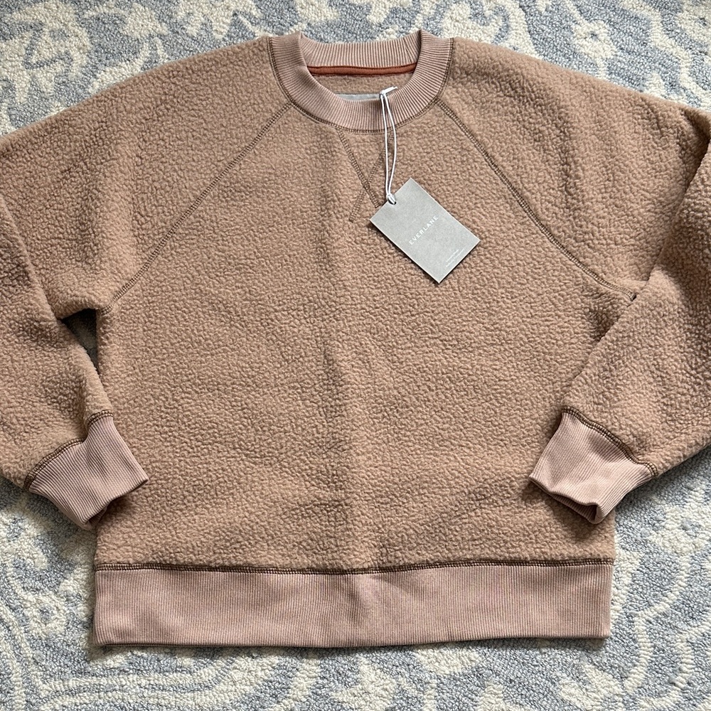 Teddy Everlane raglan sweater!